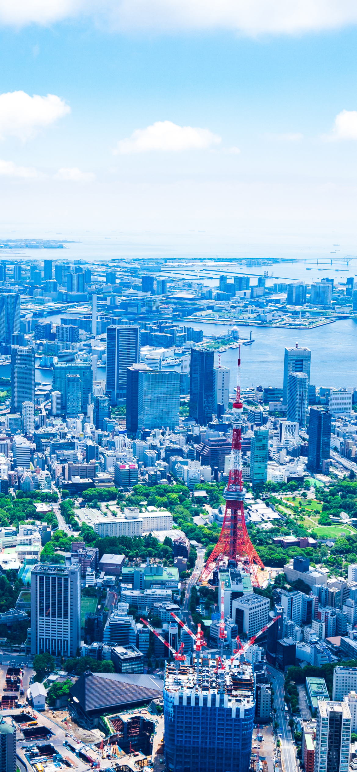 画像：東京タワー